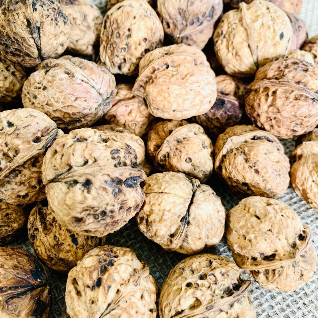 HAT-OC-CHO-DINH-DUONG-1