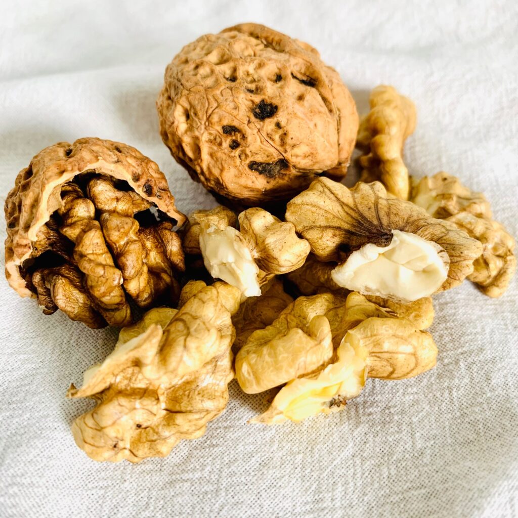 HAT-OC-CHO-DINH-DUONG-4