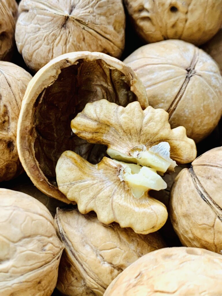 óc chó giấy chi lê